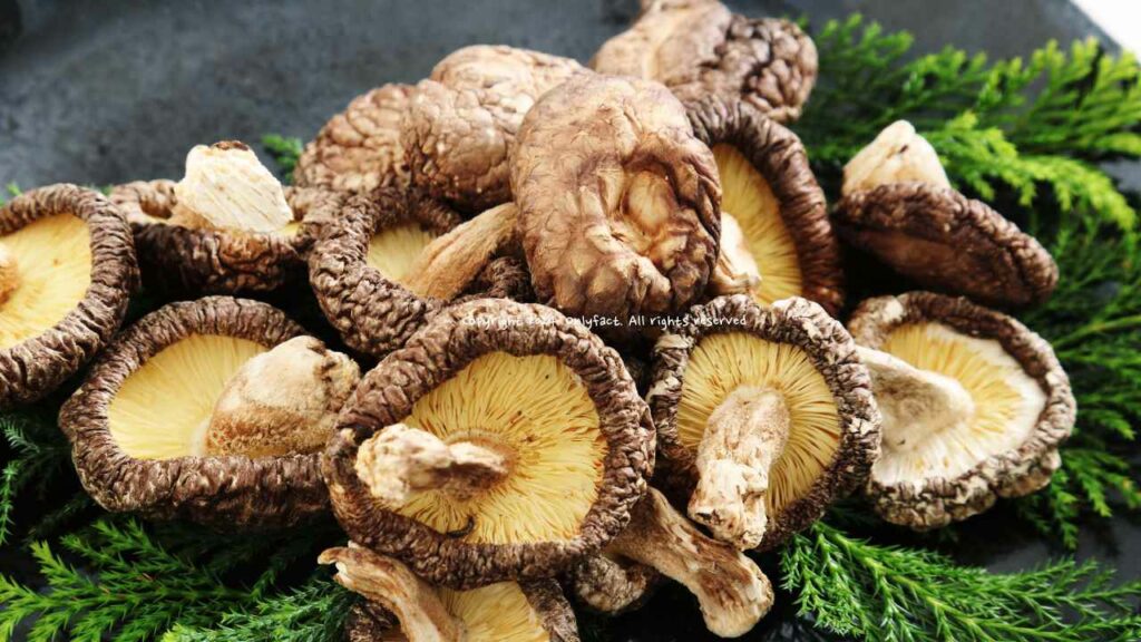 면역력-음식-표고버섯
